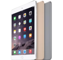 Apple iPad mini 4 (32GB, Wi-Fi, Gray)