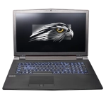Falcon_Northwest TLX Intel GTX  laptop