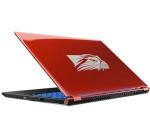 Falcon_Northwest TLX 15.6" i7-10875H 32GB RTX 2060 M2 SSD