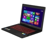 Lenovo IdeaPad Y410p laptop