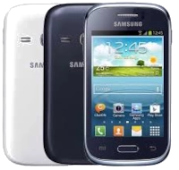 Samsung Galaxy Young S6310 Unlocked phone