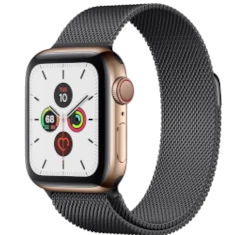 Apple Watch Series 5 40mm Gold SS Modern Buckle GPS Cellular